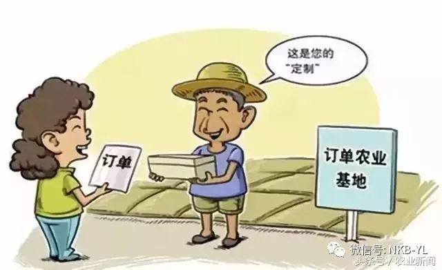 互联网农业是怎么做的视频,互联网农业创业技巧大全