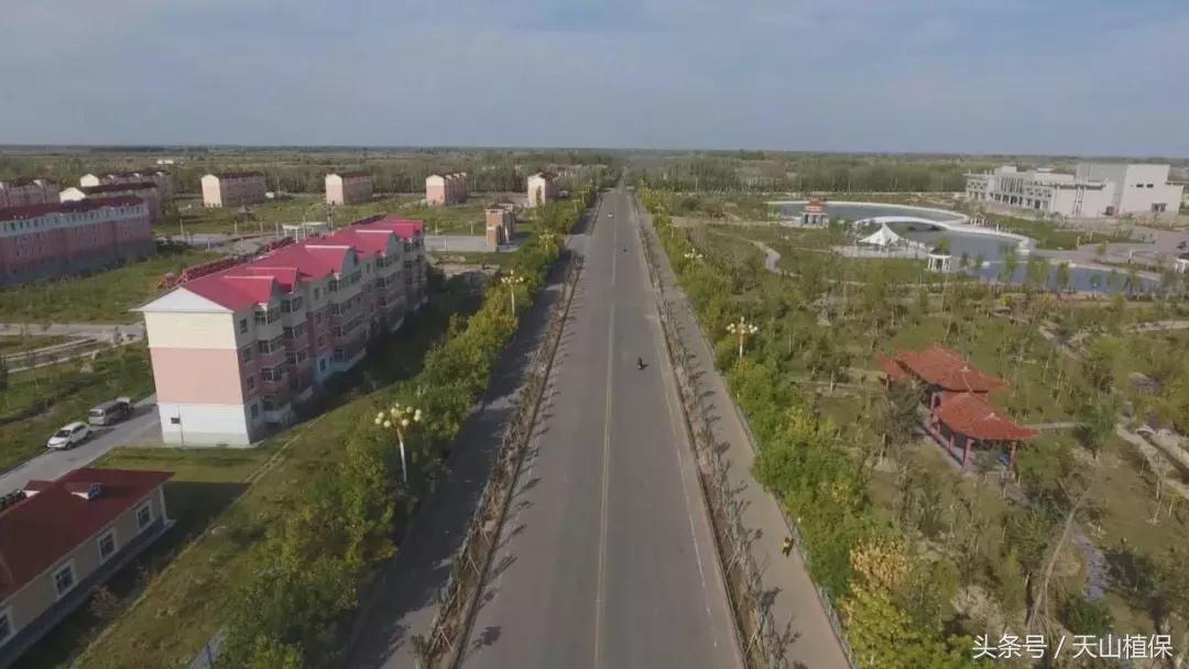 十师团场改革：富了职工活了企业