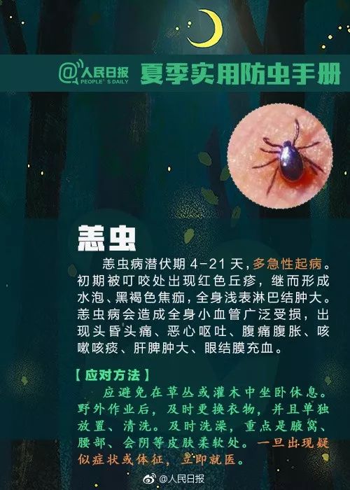 捉一只奖8元！广州全城“捉拿”的锥蝽，究竟是什么虫？