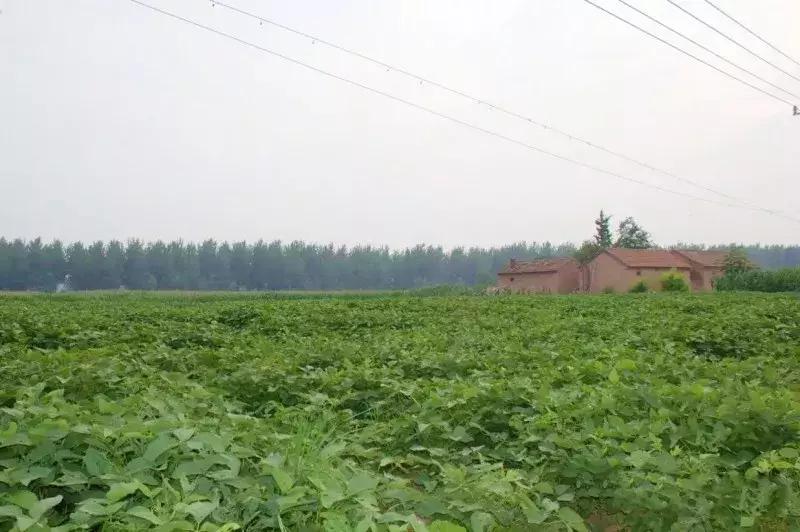 乾隆七次下江南运河,乾隆下江南永定河故事