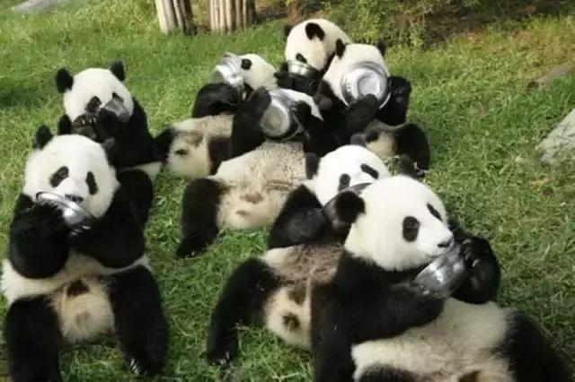 跟着国家队去旅行,跟着世界杯做美食