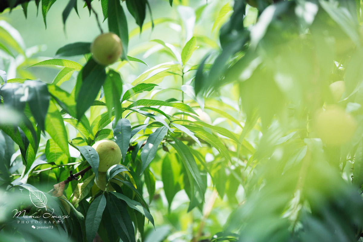 莫干山郡安里君澜度假酒店怎么样,莫干山郡安里君澜度假