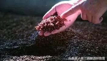 唐三镜酒糟处理,唐三镜酱香型白酒怎么样