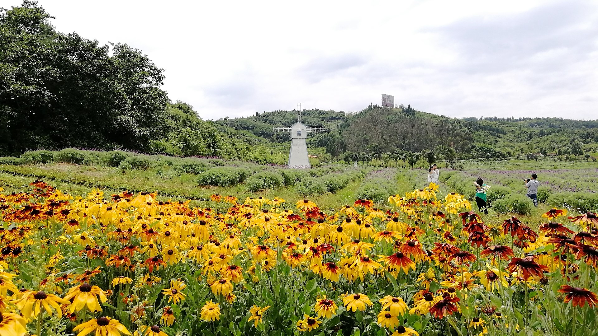 看花海，泡温泉，吃美食，这样的度假风你爱不爱？