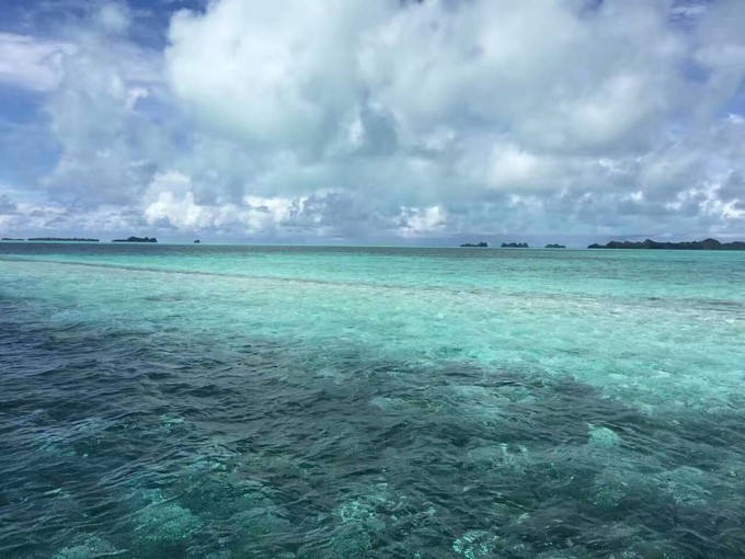 一个人的浪漫旅行视频,一个人的浪漫旅行自由自在