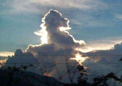 神马黑幕素材特效,神马股份造假案