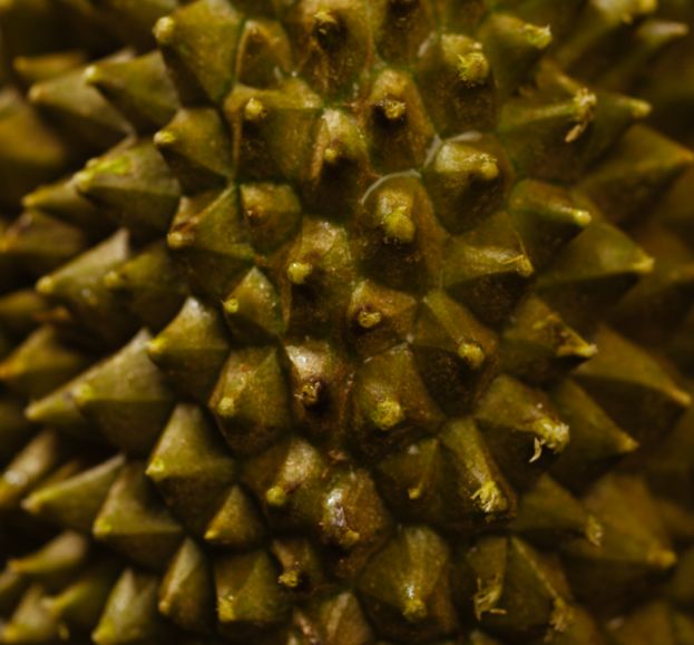 上海半岛酒店粤式点心团购,上海半岛酒店月饼预订