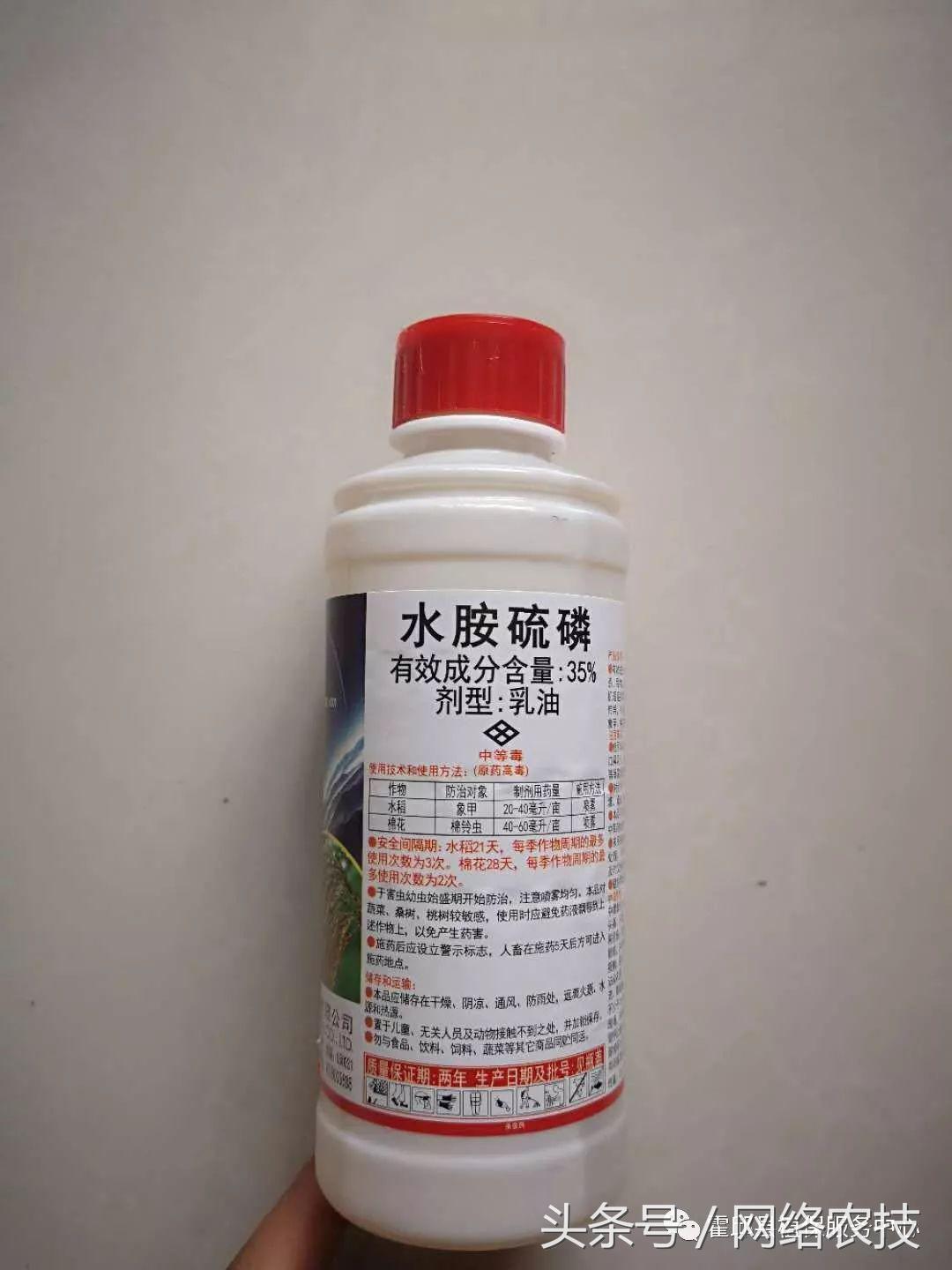 水稻叶梢发黄是不是病,水稻叶片发黄用什么药