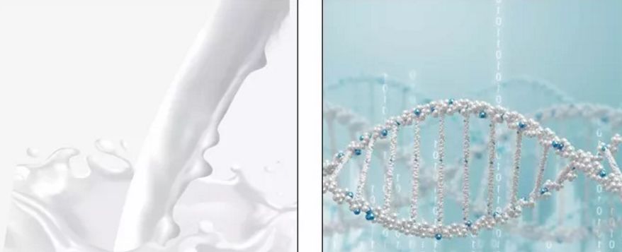 冰岛补水美白面膜,波兰面膜