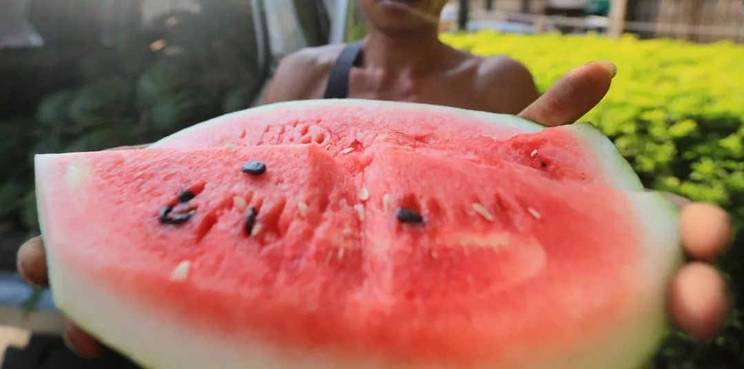 全国的西瓜哪里的最好吃,中国什么地方西瓜最好吃