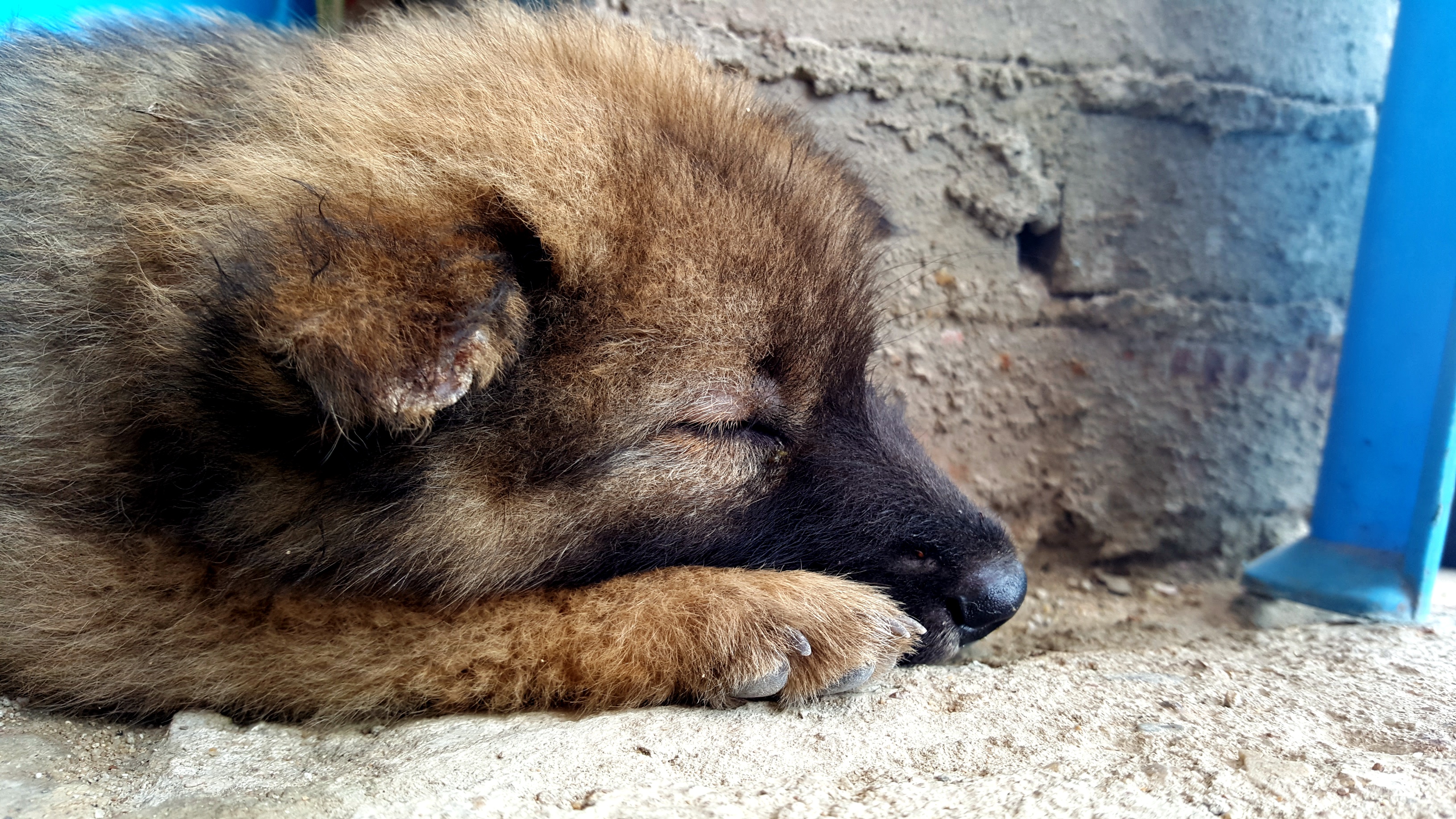 中国沿海旅行D4，天堂角到犀牛脚，人间难得一见钦州湾