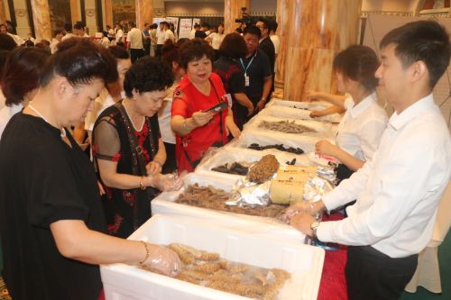 冰岛进口6年野生海参,超大海洋海参