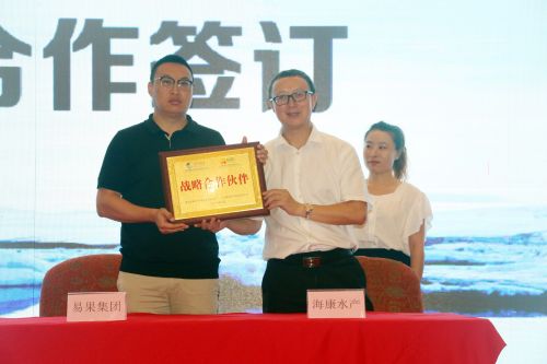 冰岛进口6年野生海参,超大海洋海参