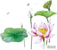 白天“荷李藕遇”嗨翻石佛荷花节晚上逛乐至烤肉节看精彩世界杯