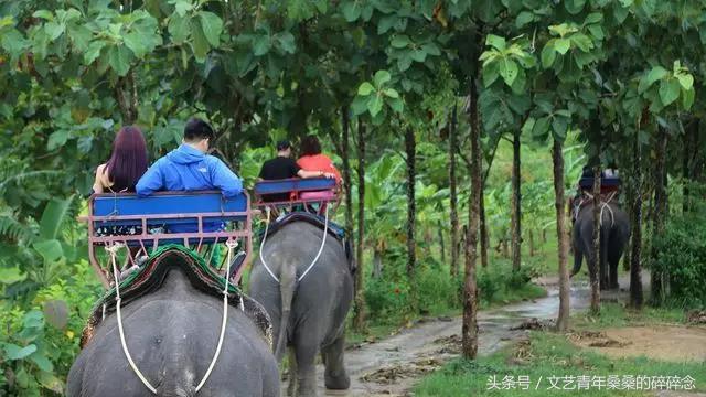 泰国清莱，此生不留遗憾的蜜月之“甜”！