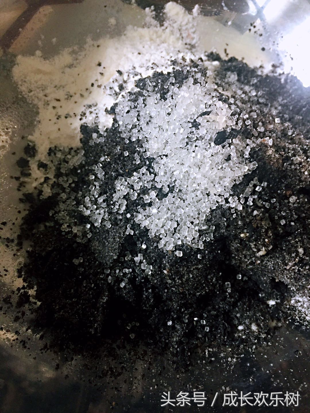 爸爸看孩子吃馒头,爸爸看卡塔尔世界杯