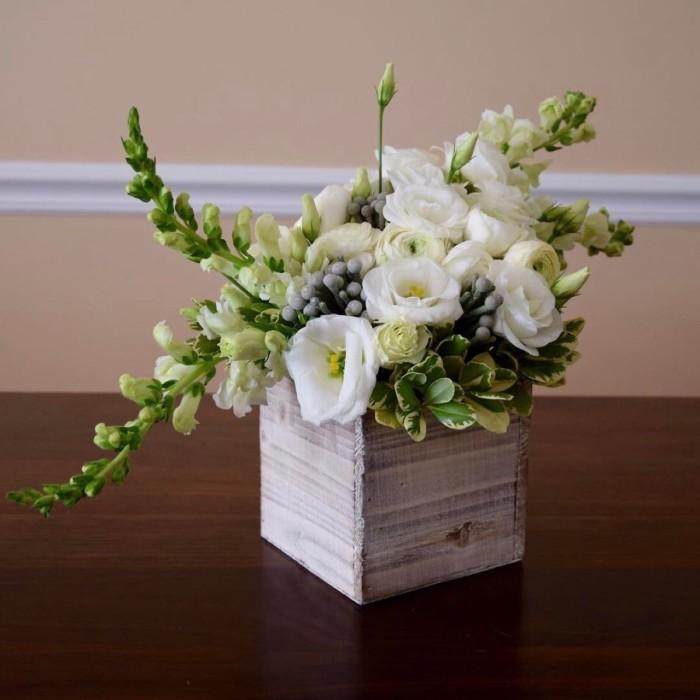 十二星座专属天蝎座的紫色花,闪耀暖暖十二星座金牛座处女座