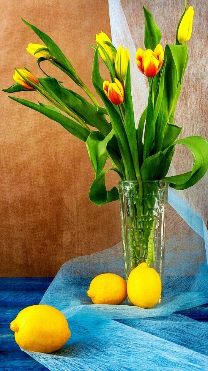 十二星座处女座和金牛座,十二星座最漂亮的插画