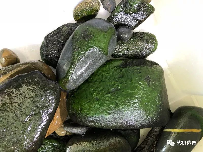 虾虎缸造景要什么过滤器,虾虎缸用什么石头造景好