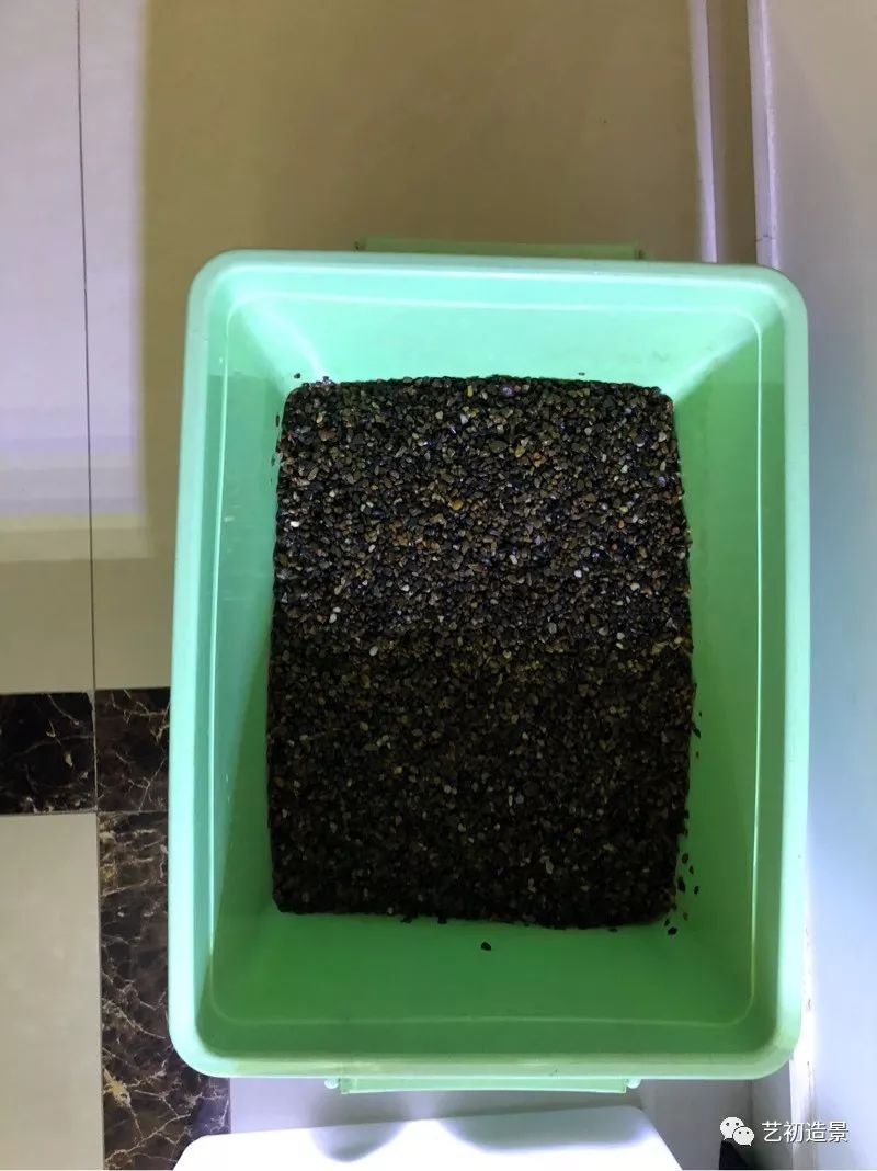 虾虎缸造景要什么过滤器,虾虎缸用什么石头造景好