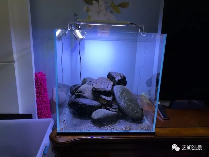 虾虎缸造景要什么过滤器,虾虎缸用什么石头造景好