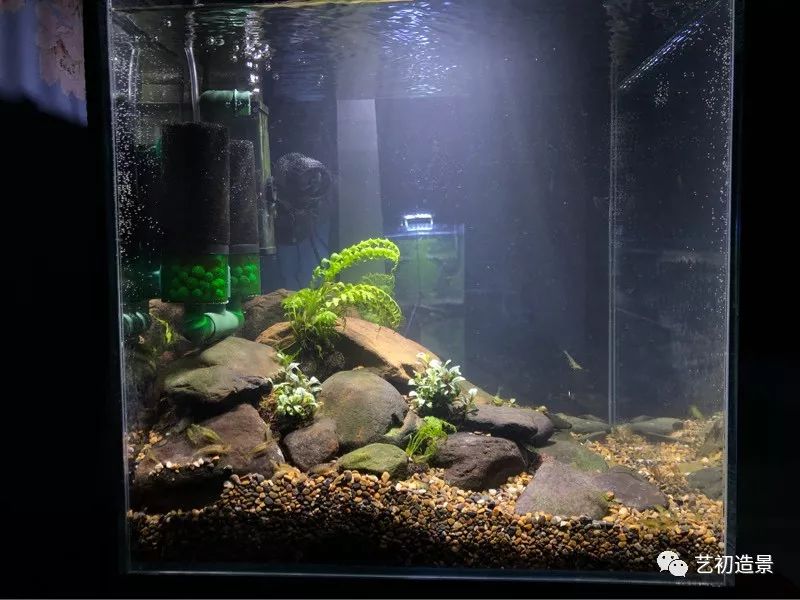 虾虎缸造景要什么过滤器,虾虎缸用什么石头造景好