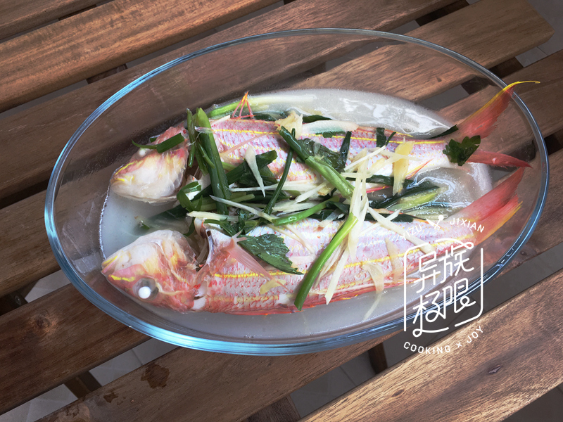 海钓料理鱼料,海钓用什么肉类最好吃