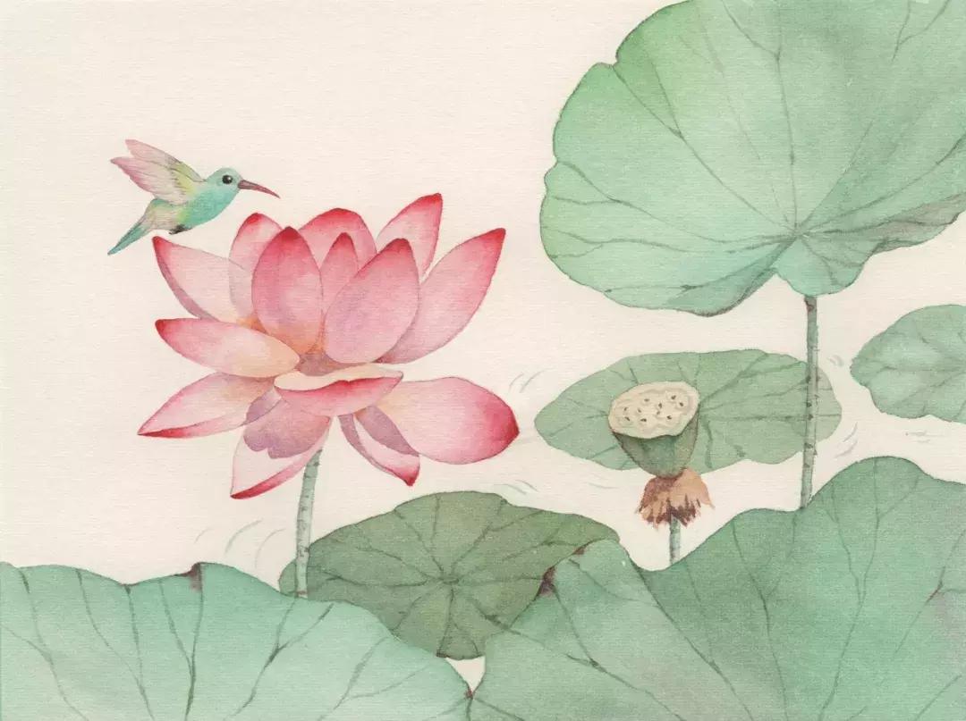 采莲曲最好的诗人,采莲曲十首经典诗