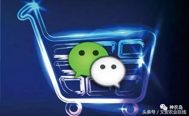 农产品网络营销的机遇和挑战,农产品网络营销的运营模式