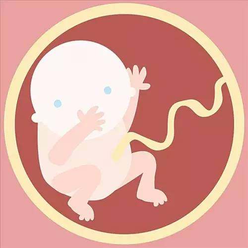 胎宝宝“游泳”“翻身”越乐此不疲，就越健康，孕妈就偷着乐吧