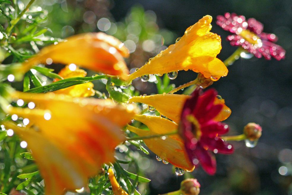 「诗词原创」褚乃艳｜莫道君心无所住红尘洗却看沉浮