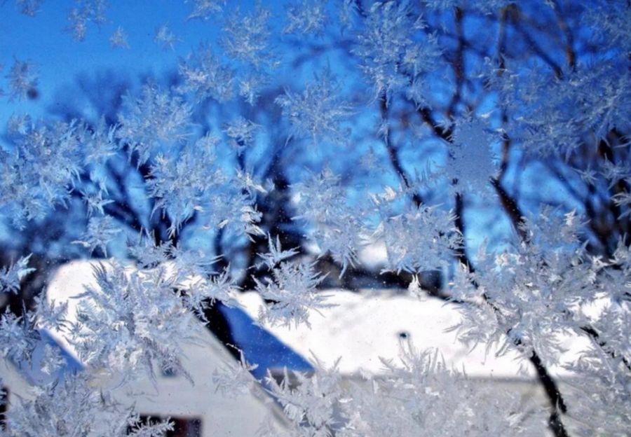 「诗词原创」褚乃艳｜莫道君心无所住红尘洗却看沉浮