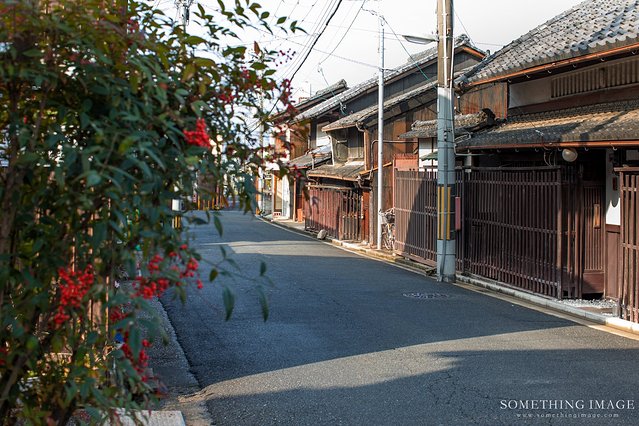 奈良·京都·大阪｜故梦秋缘此京中，人忆晚枫相映红