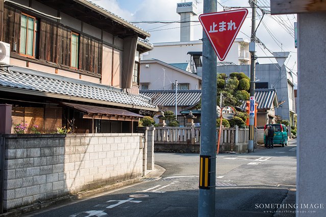 奈良·京都·大阪｜故梦秋缘此京中，人忆晚枫相映红