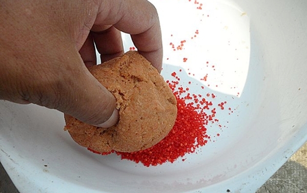 虾米闹窝怎么办,虾米闹窝怎么钓鱼