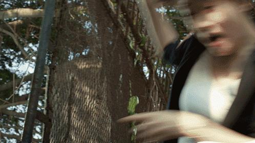 唐人街探案焦俊艳,张若昀焦俊艳探案电视剧