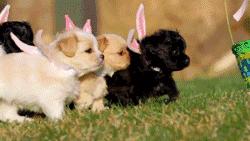 你会为身后的路人扶门吗?这33个有教养的细节,你做到了多少?