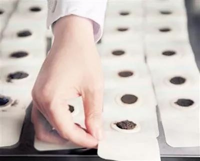 中医专家教你三伏贴正宗配方,江苏省中医三伏贴的正确贴法图