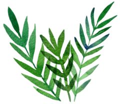 吉林市人民医院中医专家门诊,吉林省中研医院专家出诊时间