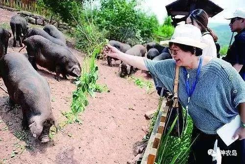 农产品网络营销的方法和思路,农产品网络营销的方法有哪些