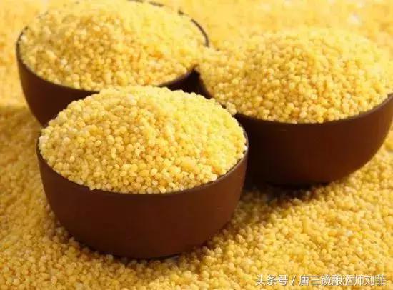 小米酒制作方法视频幼儿园,小米酒的制作方法