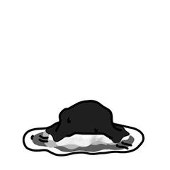 毛里求斯攻略,毛里求斯游玩全攻略