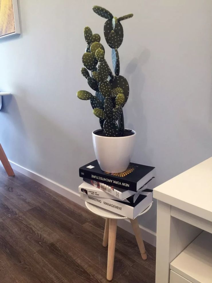 3万块改造60㎡老二房，焕然一新让人眼前一亮！