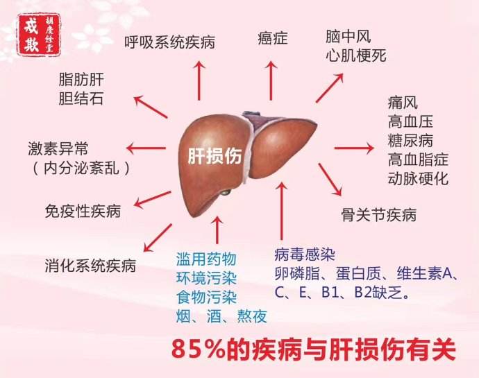5种营养素对肝脏有好处,因药物引起的肝损伤用什么护肝药