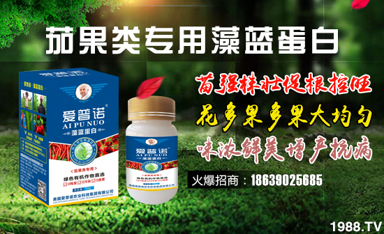 辣椒苗期药害怎么缓解,解除辣椒药害的方法