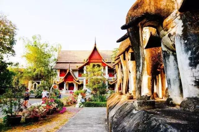 中国护照免签及落地签的国家,中国护照免签含金量