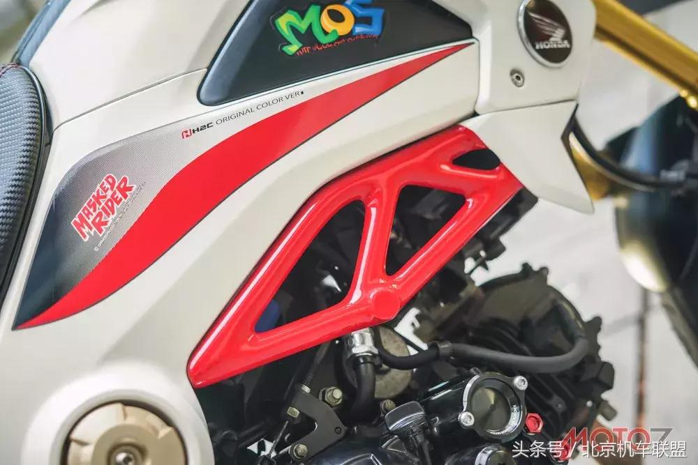 混血小猴子的视频,混血宝宝小猴子