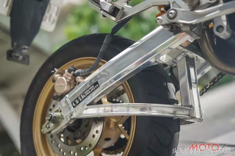 混血小猴子的视频,混血宝宝小猴子