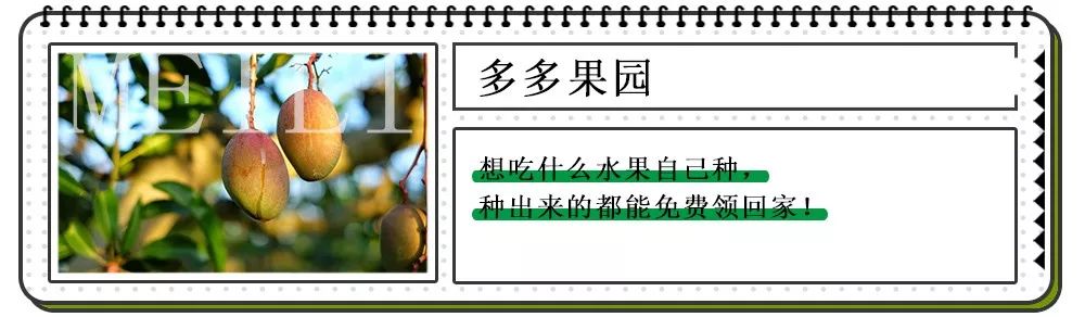 BIGNEWS！上海72家“职工亲子工作室”暑托班正式开班！