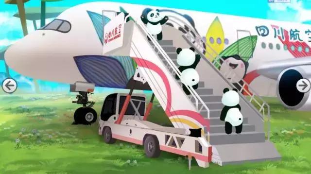 川航三优熊猫,四川航空认养大熊猫